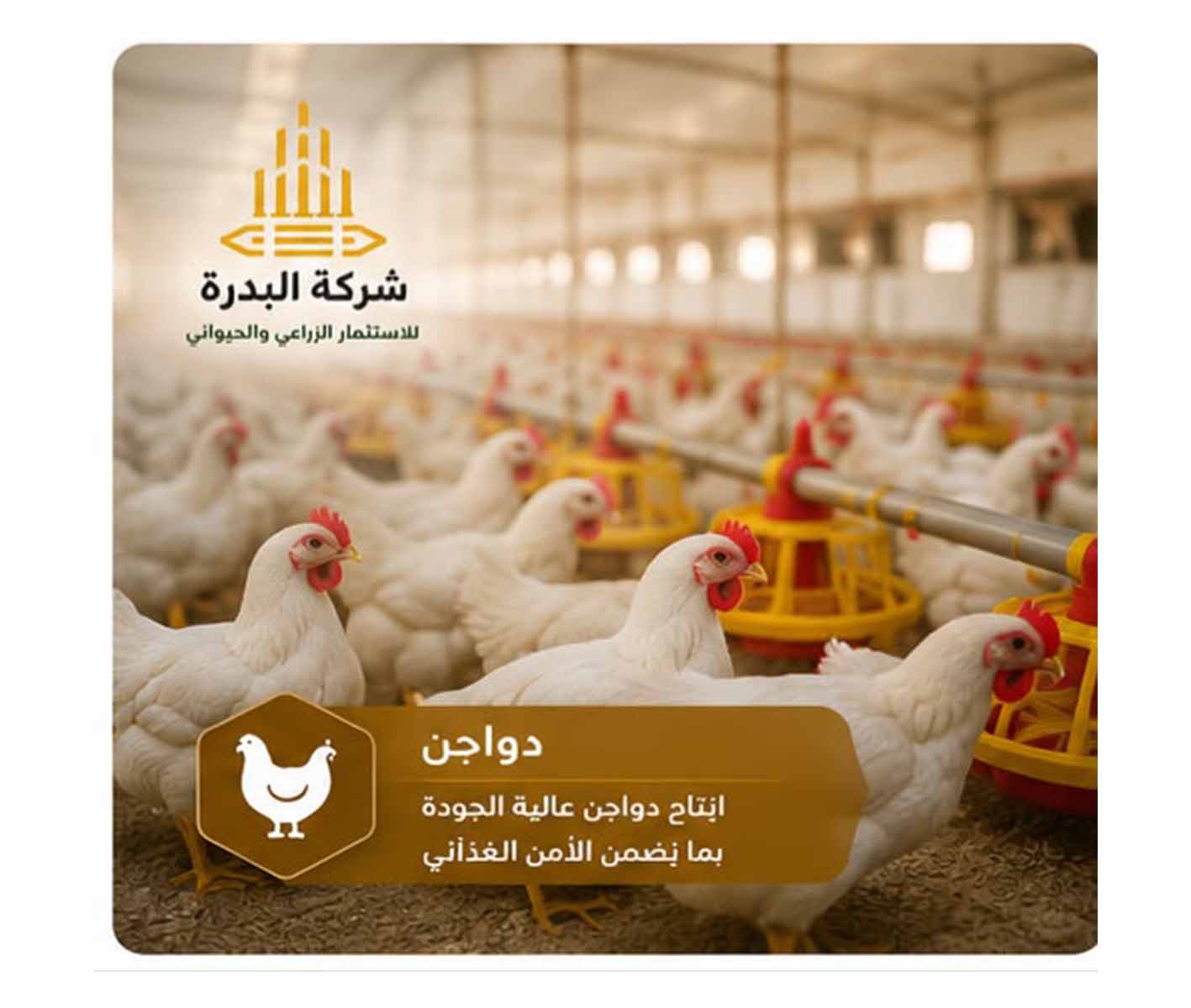 مستودعات 