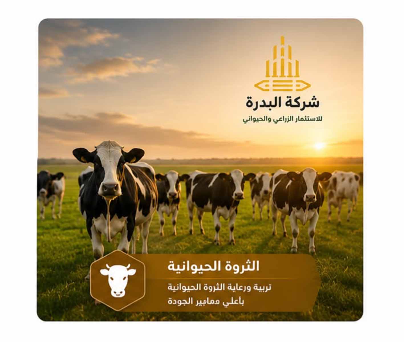 لحوم