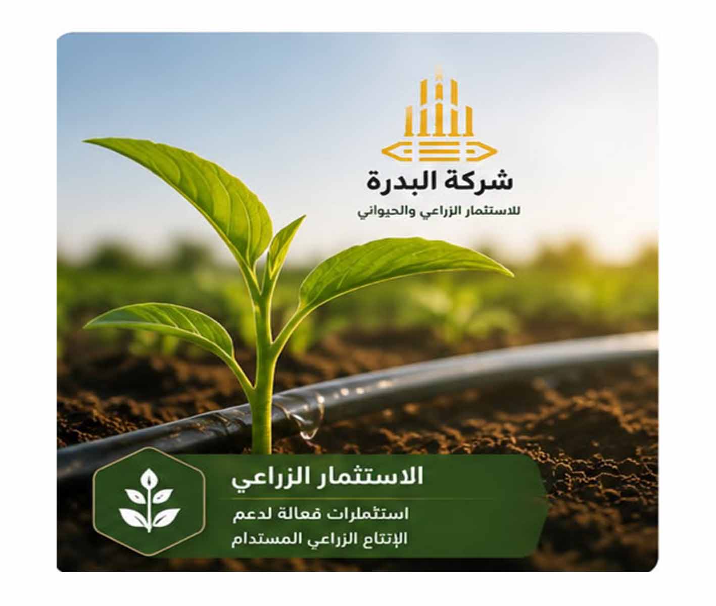 عمليات التوزيع