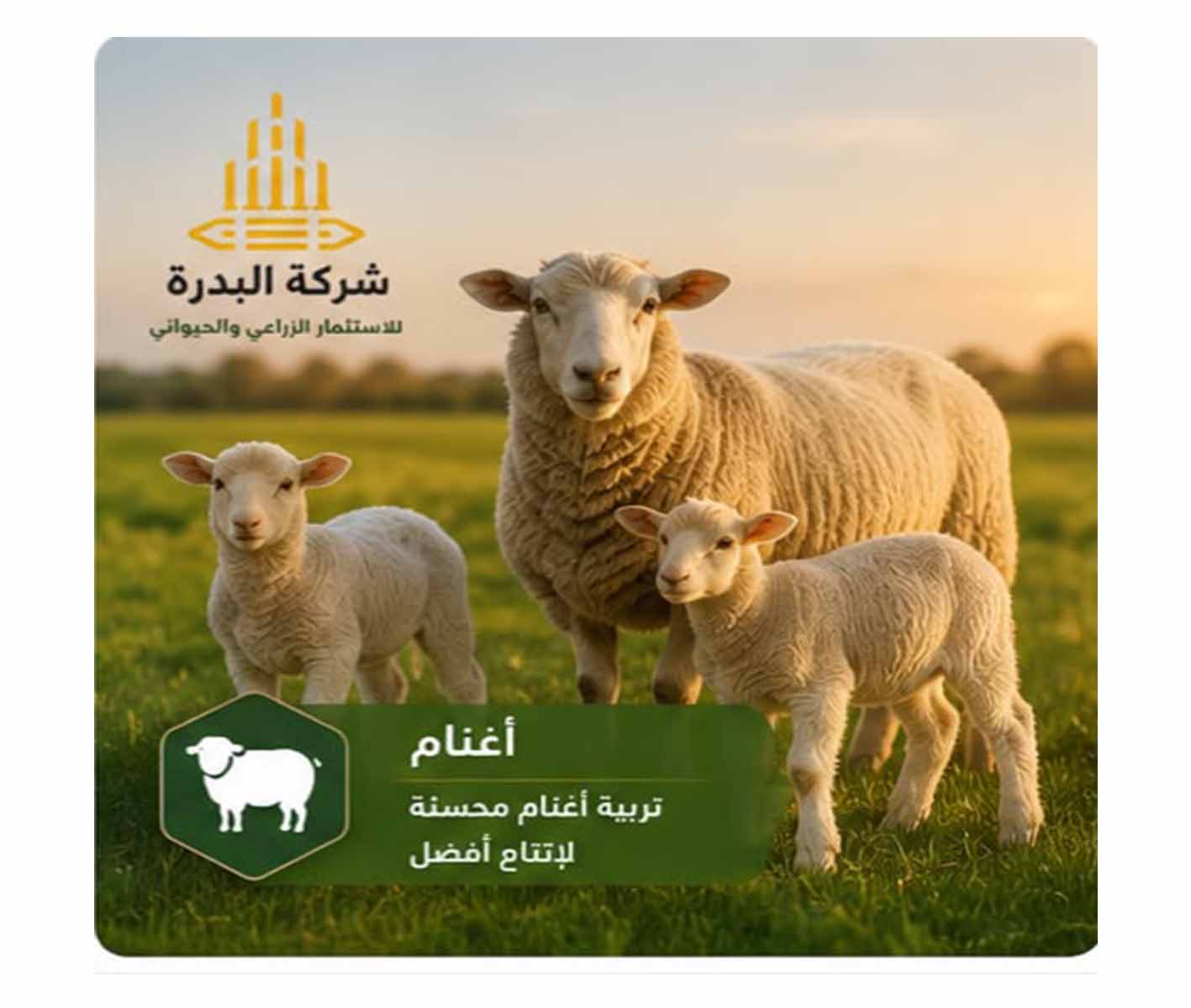 منتجات