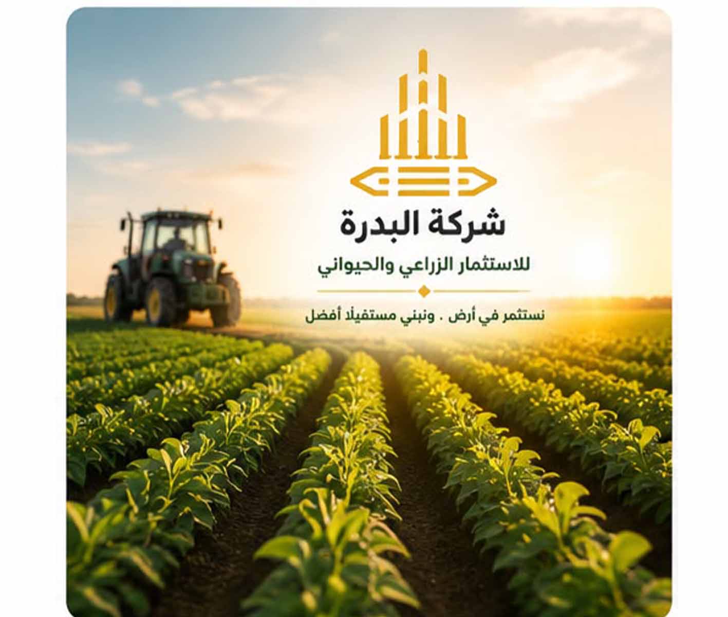 منتجات غذائية متنوعة